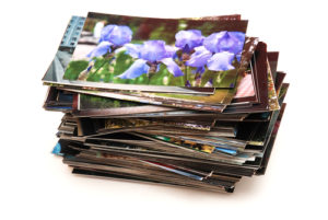 SEO Management and Photos